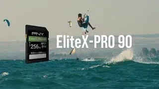 PNY EliteX-PRO90 SD Flash Memory card