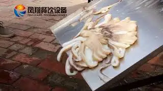 Fresh squid ring slicer