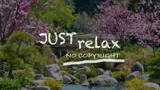 Soul Searching - Causmic [No Copyright Music]