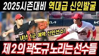 기아 역대급 신인 유망주들 호주 파견, 제2의 곽도규 노린다. #야구 #프로야구 #기아타이거즈 #호주파견 #김민재 #장재혁 #심재학 #이범호 #곽도규