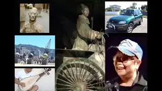 Super Sunny Wellington Day Trip