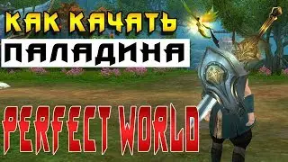 Как качать паладина в Perfect World