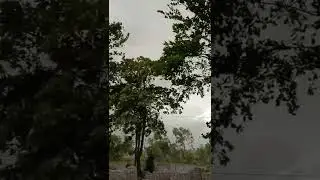 बड़े दिनो बाद आज इतनी तेज हवा का आनंद लेते हुए