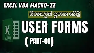 Excel VBA Macro Sinhala | 22 - User Forms