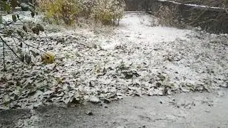 29 ОКТЯБРЯ ИДЕТ СНЕГ