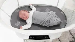 4moms Mamaroo Sleep Bassinet