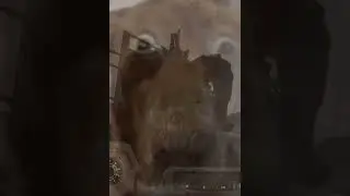 A random settlement invasion in a nutshell