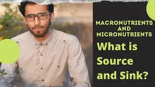Understanding of Plants Nutrition | Macronutrients and Micronutrients | Source and Sink