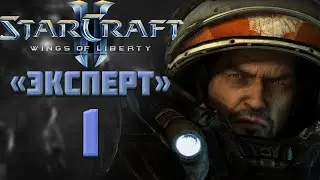 STARCRAFT 2 - WINGS OF LIBERTY (1)