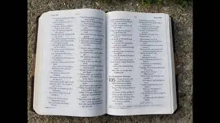Let's Read the Psalms Again! Psalm 105 -Tell His Wonders for Israel! (TLV)
