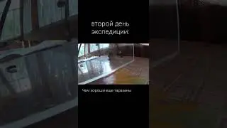 Вкусняшка)) 