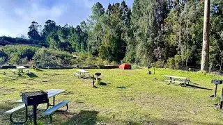 Camping at Haleakalā National Park? Hosmer Grove Campground Walk-thru