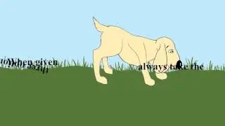 Dog animation - After Effects
