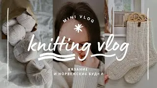 vlog 17/24 | делюсь планами на вязание 🧶 вяжу свитер с японским плечом ✨️ новая весення лопапейса