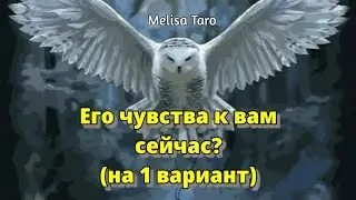 ЕГО ЧУВСТВА К ВАМ СЕЙЧАС?❣️1 ПОЗИЦИЯ🔔