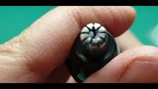 Lidl Silvercrest facial hair remover review