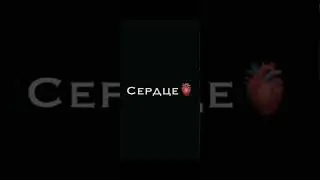 Футаж ❣ 