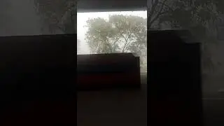 Totally Foggy Train Ride 😍