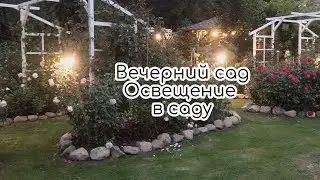 Evening Garden. Garden Lighting