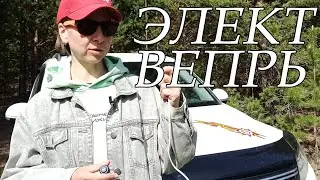 Обзор СГУ Элект Вепрь 200