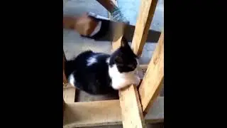 Помощник - строитель