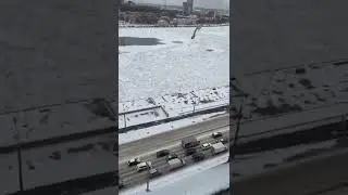 Петруха прилетел на завтрак! Прикол! Смешное видео 2022! Приколы с птицами!