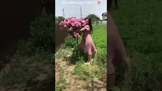Одна из самых эффектных роз на штамбе!What’s app 89283509377