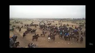 Бакторы тулпар Галымжан палуаннын той кокпарында 2туйе 2огиз ге басып шыктыыы