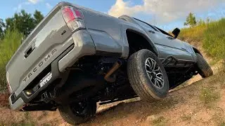 2021 Tacoma Crawling Top of Red Turner