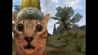 Scrolls of Icarian Flight in Morrowind vs. Oblivion