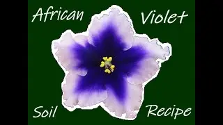 African Violet Substrate & Who's Blooming