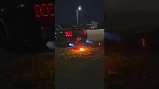 #mustang