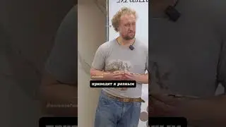 Михаил Никитин. Серые и черные вороны: один вид или два? 