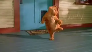 гагрлфилд?????!???!??