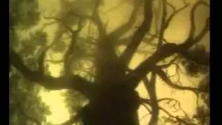 Ёжик в тумане.mp4