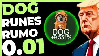 DOG GO TO THE MOON RUMO 1 CENTAVO E AGORA?