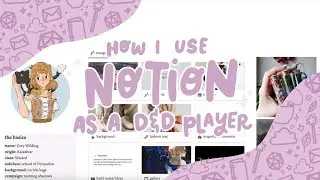 how I use notion as a dungeons & dragons player! ✨