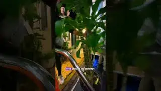 Он не ищет отговорок — он ищет возможности 😳😱