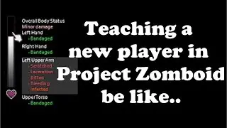 Teaching a new player in Project Zomboid be like… 