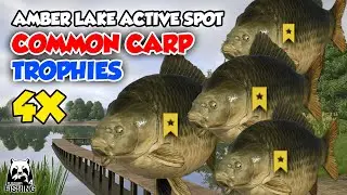 COMMON CARP TROPHY MULU BANGKE!!! HADEUH!!! [-__-]