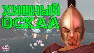 Как получить титул Хищный оскал в пв? [Perfect World Гайд]