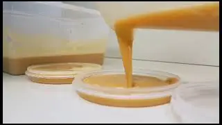 раковый концентрат 