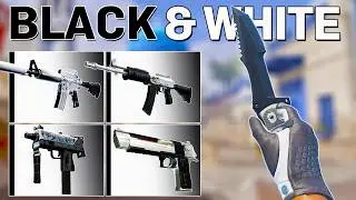 The BEST BLACK and WHITE Themed CS2 Loadout! (Cheap & Expensive)