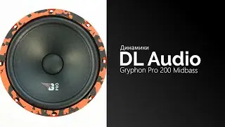Распаковка динамиков DL Audio Gryphon Pro 200 Midbass