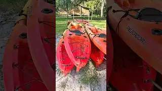 Моё флоридское утро!☺️