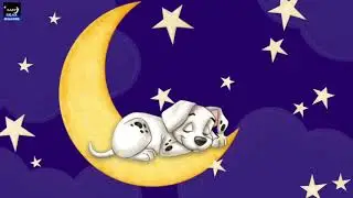 Rentouttava Mozart-musiikki Vauvoille - Nukkumaanmeno Musiikkia Nukkumaan, Mozart-musiikkia