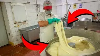 🧀 ¿CÓMO se FABRICA el QUESO MOZARELLA? 🍕