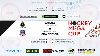 Альфа - СКА Звезда / Турнир 