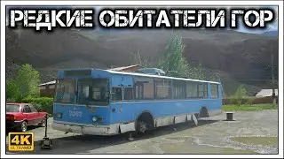 ✔️Нарын - город на одной улице 🏔️. Горная глухомань в Киргизии 🇰🇬.