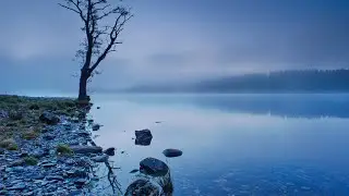 Нет плохой кармы, а что есть  ?